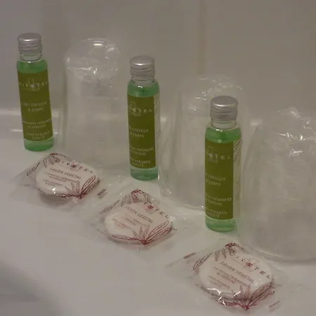 Ξενοδοχείο Cit'hotel De La Vallee 3*