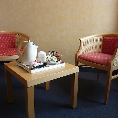 Cit'hotel De La Vallee Лурд