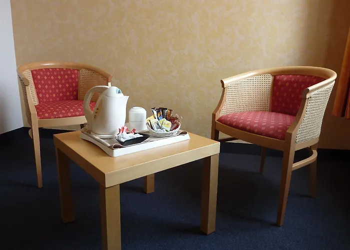 Cit'hotel De La Vallee לורדה