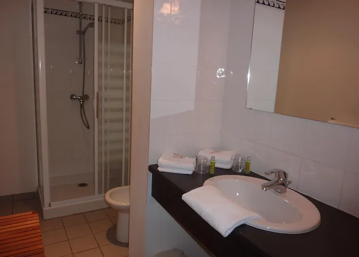 Cit'hotel De La Vallee 3* Λούρδη