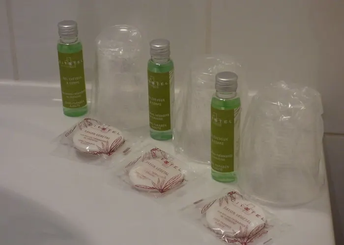 Ξενοδοχείο Cit'hotel De La Vallee 3*