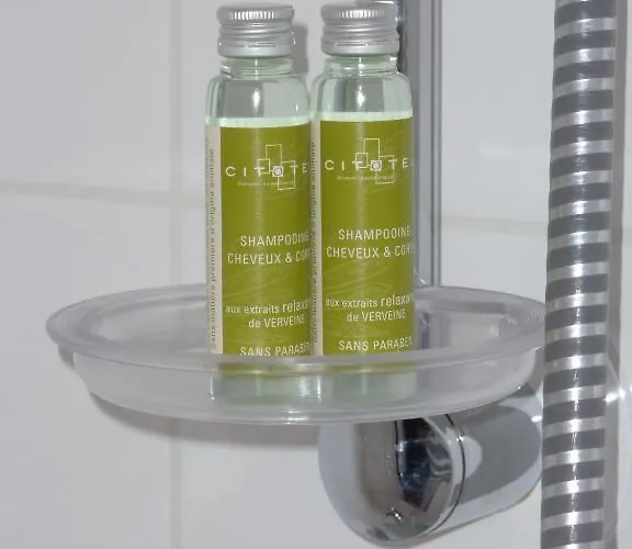 Cit'hotel De La Vallee Ξενοδοχείο 3*