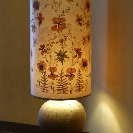 Cit'hotel De La Vallee מלון לורדה