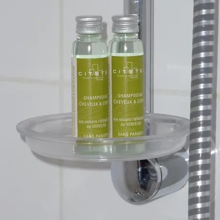 Cit'hotel De La Vallee מלון 3*