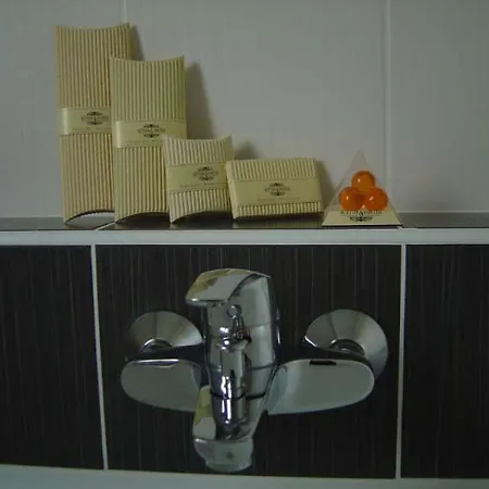 Cit'hotel De La Vallee מלון לורדה